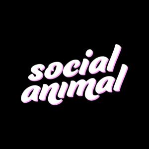 Social Animal