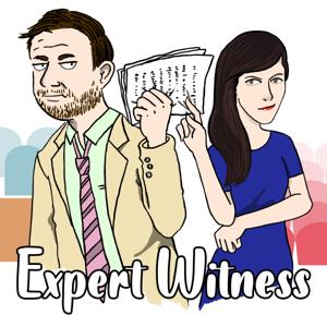 Expert Witness