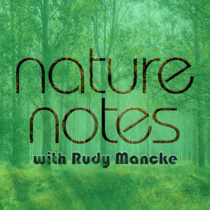 NatureNotes