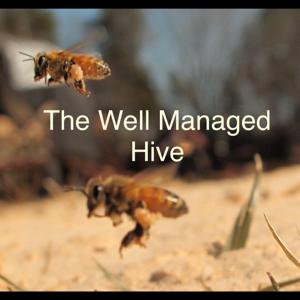 The Well Managed Hive's Podcast