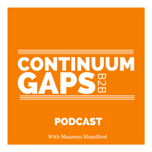 B2B Continuum Gaps podcast