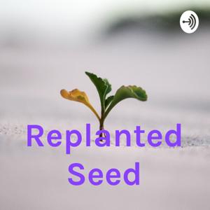 Replanted Seed