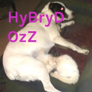 HyBryD OzZ