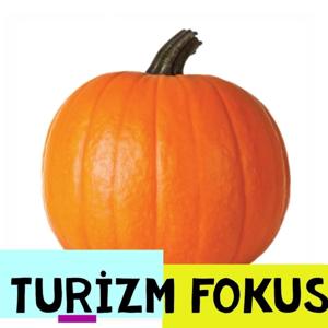 Turizm Fokus