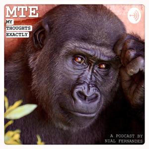 MTE Podcast