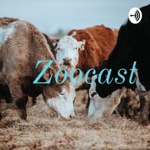 Zoocast