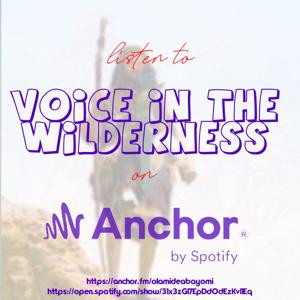Voice In The Wilderness