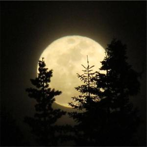 Rim Of The World Weather