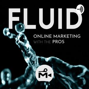 Fluid: Online Marketing with the Pros