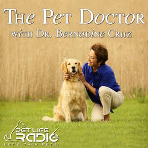 The Pet Doctor - Keeping your pets healthy & pet wellness - Pets & Animals on Pet Life Radio (PetLifeRadio.com) by Dr. Bernadine Cruz