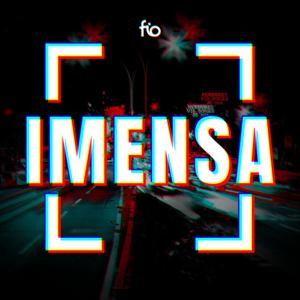 IMENSA