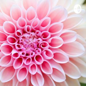 How to Thrive After a Toxic Relationship