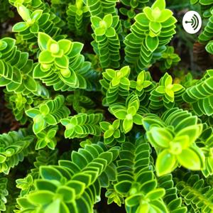 KAJUのメディテーション（瞑想） by 佐藤 和人