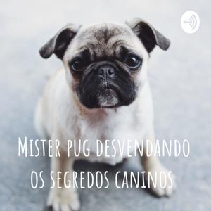 Mister pug desvendando os segredos caninos