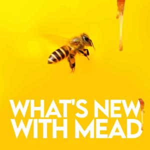 What's New With Mead by Man Made Mead