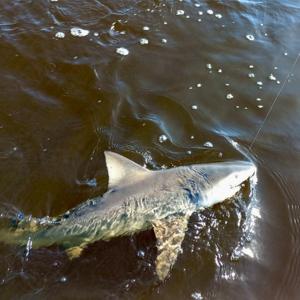 North Florida Fishing and Outdoors