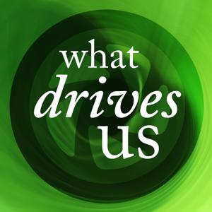 What Drives Us