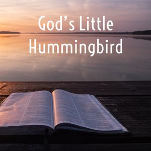 God’s Little Hummingbird: Bible Time (Messianic ) by Melissa Schilling Smith