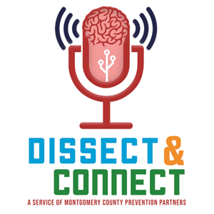Dissect & Connect
