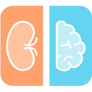 Kidney & The Brain