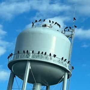 Water towers