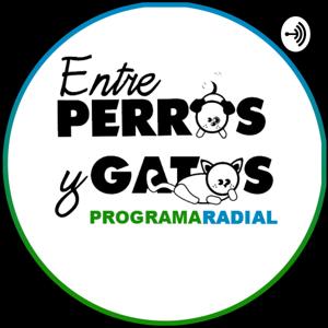 Entre Perros y Gatos