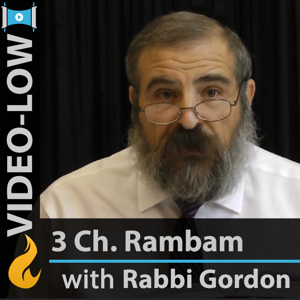 Rambam - 3 Chapters a Day