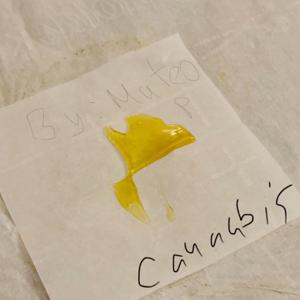 Cannabis