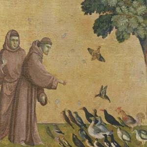 Preaching to Birds (and Cats)