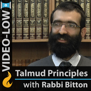 Discovering Talmudic Principles