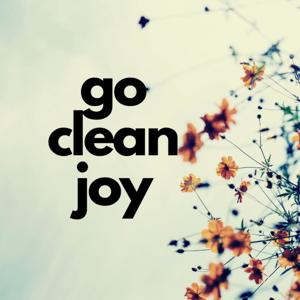 Go Clean Joy House Cleaning Tips by Cleaven Smith