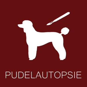 Pudelautopsie