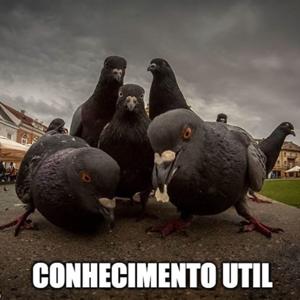 Conhecimento Útil