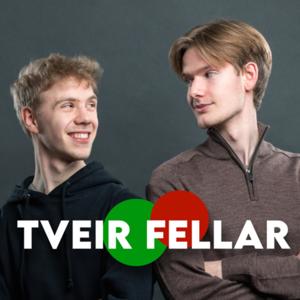 Tveir Fellar