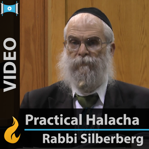 Everyday Halachah