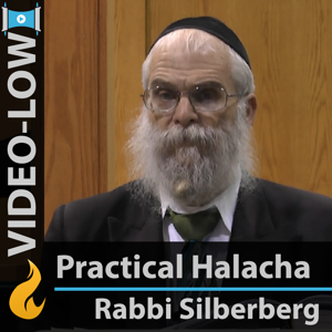 Everyday Halachah