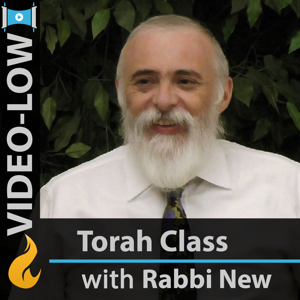 Commentaries on the Torah