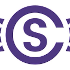 The Solar Customs Experience
