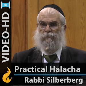 Everyday Halachah