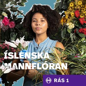 Íslenska mannflóran