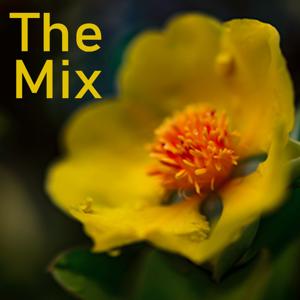 The Mix