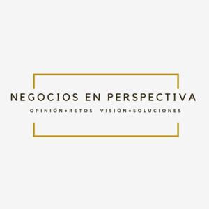 Negocios en Perspectiva