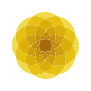 Park Renew | A Ministry of Park Church Denver