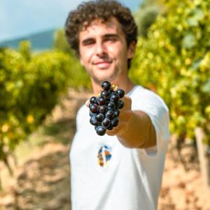 Italian Wines Podcast by Stefano Quaglierini