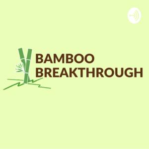 BambooBreakthrough