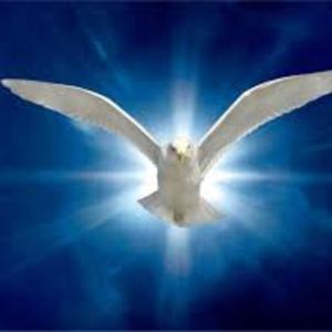 Beyond the Veil Prophetic Ministries