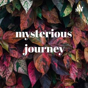 Mysterious Journey