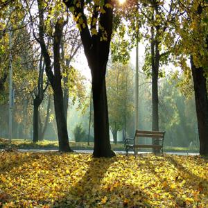 ЖКХ: вопросы и ответы