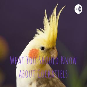 What You Should Know about Cockatiels by C