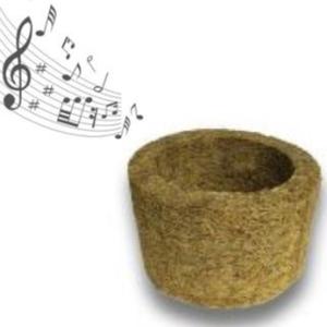Música do Xaxim